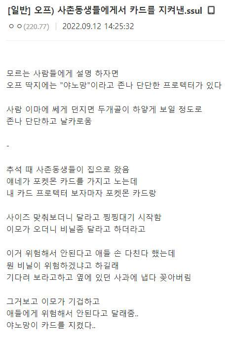 추석때 사촌 동생들에게서 카드를 지켜낸 썰