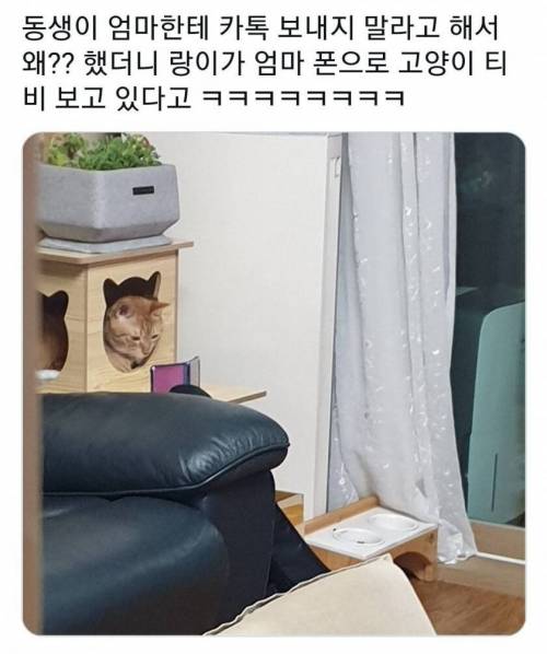 동생이 엄마한테 연락하지 말래..ㅠ.jpg