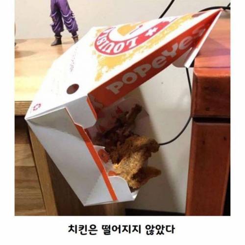 행운이 따르는 사람들 모음