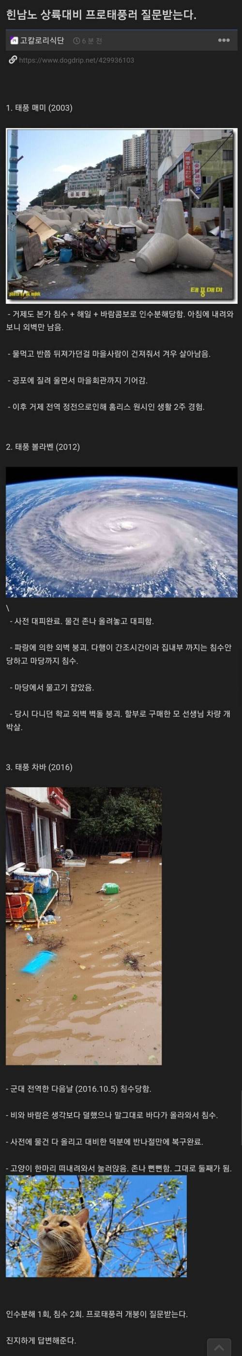 직업 : 프로태풍러.png