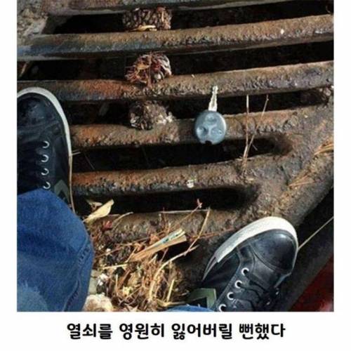 행운이 따르는 사람들 모음