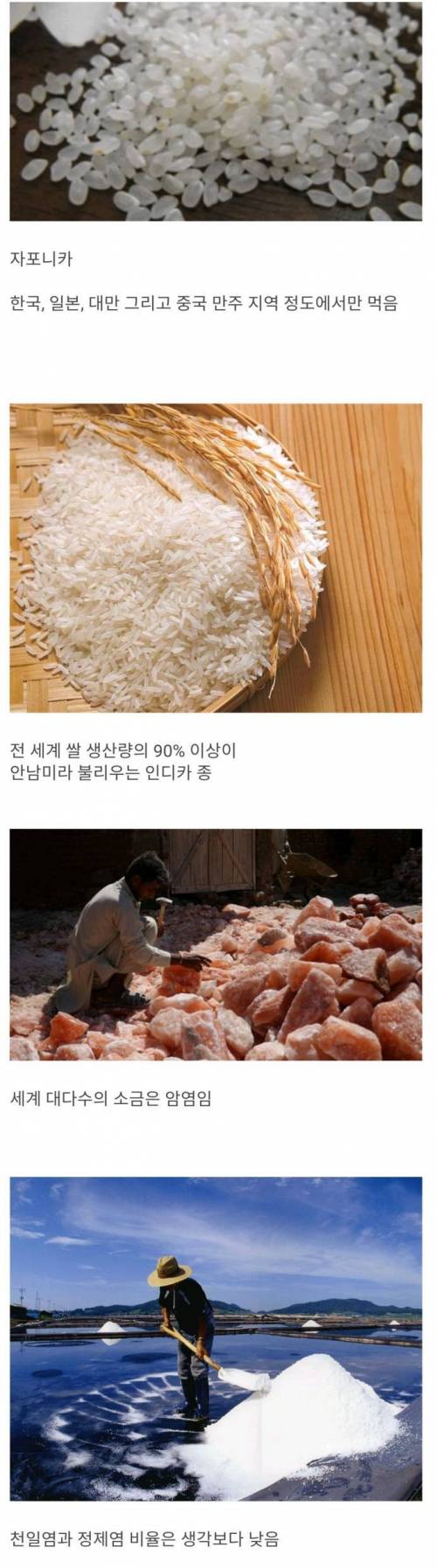 세계적으론 은근 마이너한 식재료