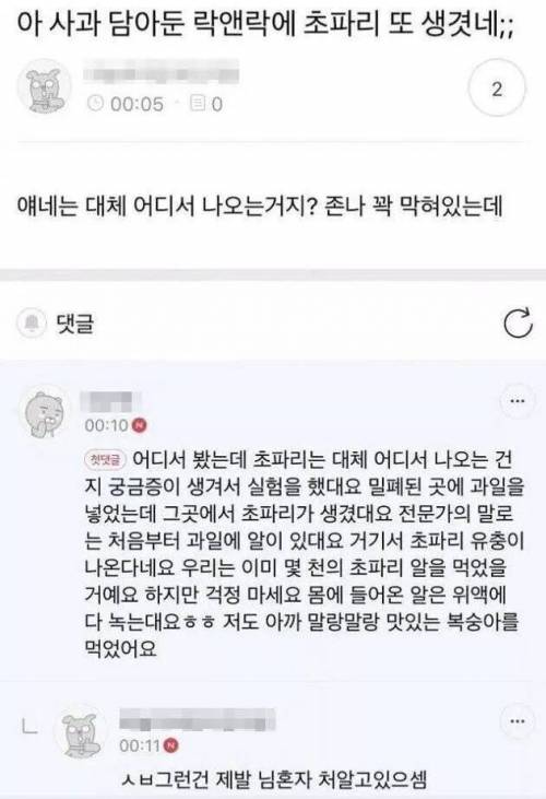 밀폐된 곳에 있는 과일에서도 초파리가 생기는 이유