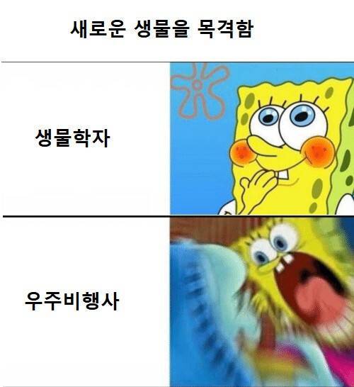 처음보는 생명체를 발견한 두 직업의 온도차