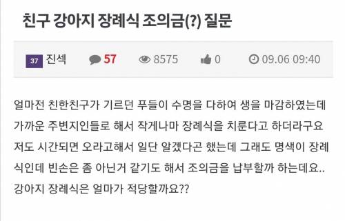 논란의 강아지 장례식 조의금