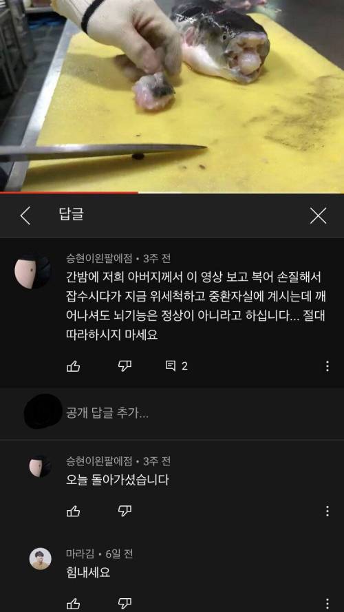 복어 손질 대참사
