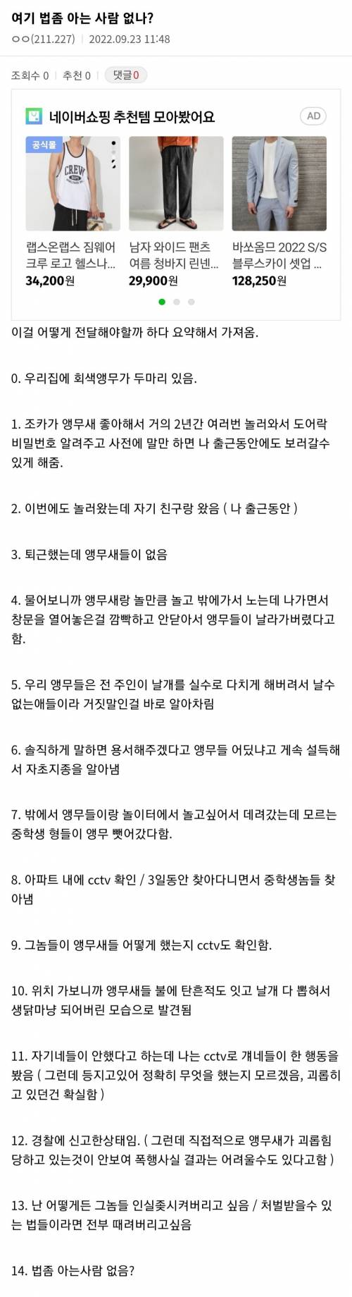? 오늘자 촉법소년의 앵무새 유괴 사건