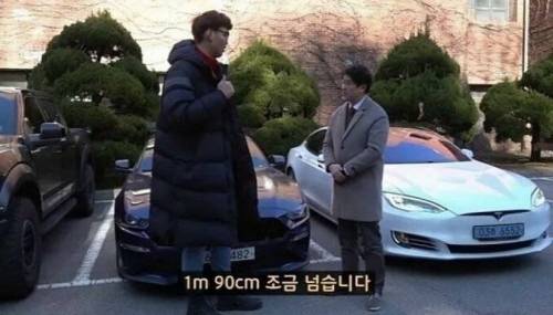 190cm 실물 체감