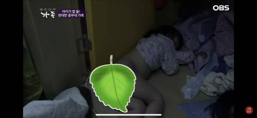 12남매 현대판 흥부 가족의 하루.jpg