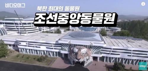 북한 동물원 수준.jpg