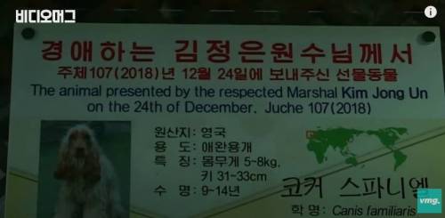 북한 동물원 수준.jpg