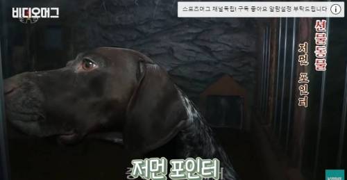 북한 동물원 수준.jpg