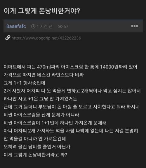 1+1인데 하나만 가져왔다가 돈낭비 잔소리 듣고 억울한 사람