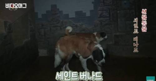 북한 동물원 수준.jpg