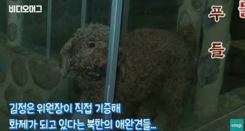 북한 동물원 수준.jpg