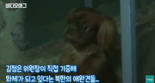 북한 동물원 수준.jpg