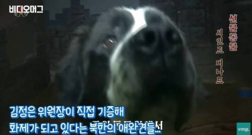 북한 동물원 수준.jpg