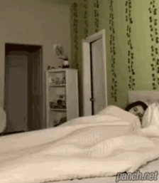 새벽3시 자다가 이불속 무언가에 깜짝 놀