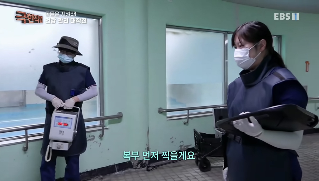 물개 건강검진.jpgif