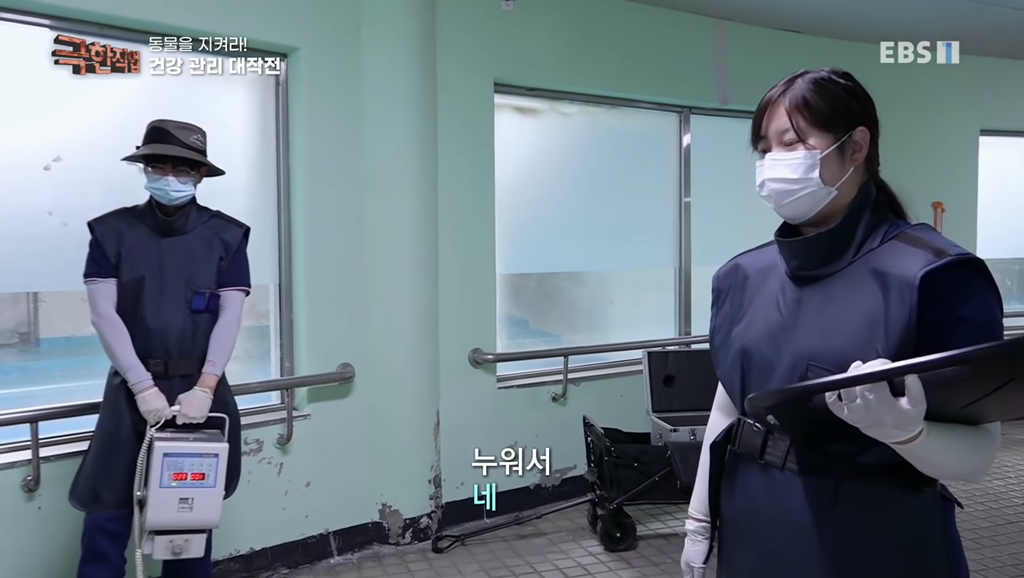물개 건강검진.jpgif