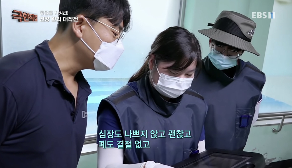 물개 건강검진.jpgif