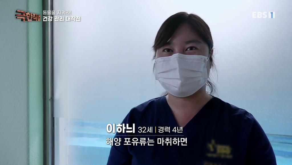 물개 건강검진.jpgif