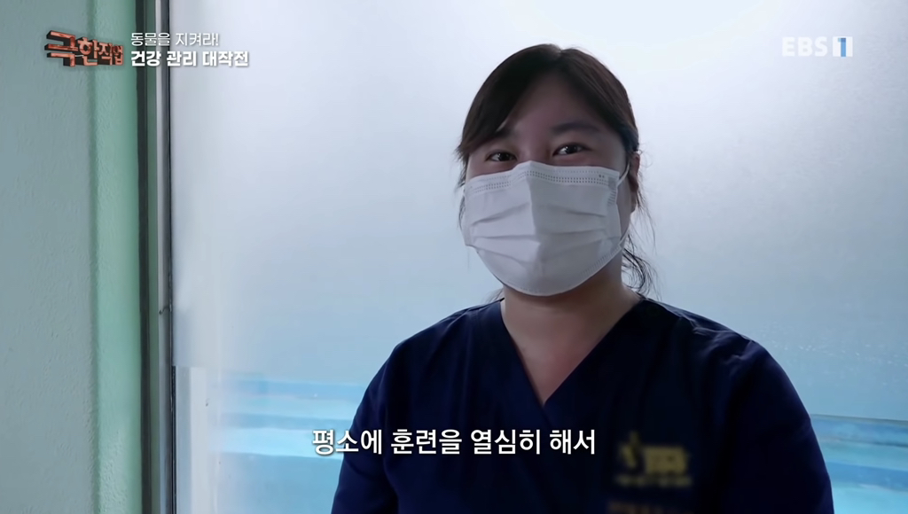물개 건강검진.jpgif