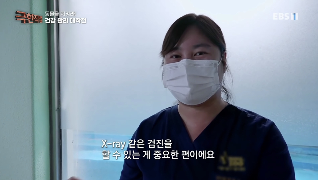 물개 건강검진.jpgif