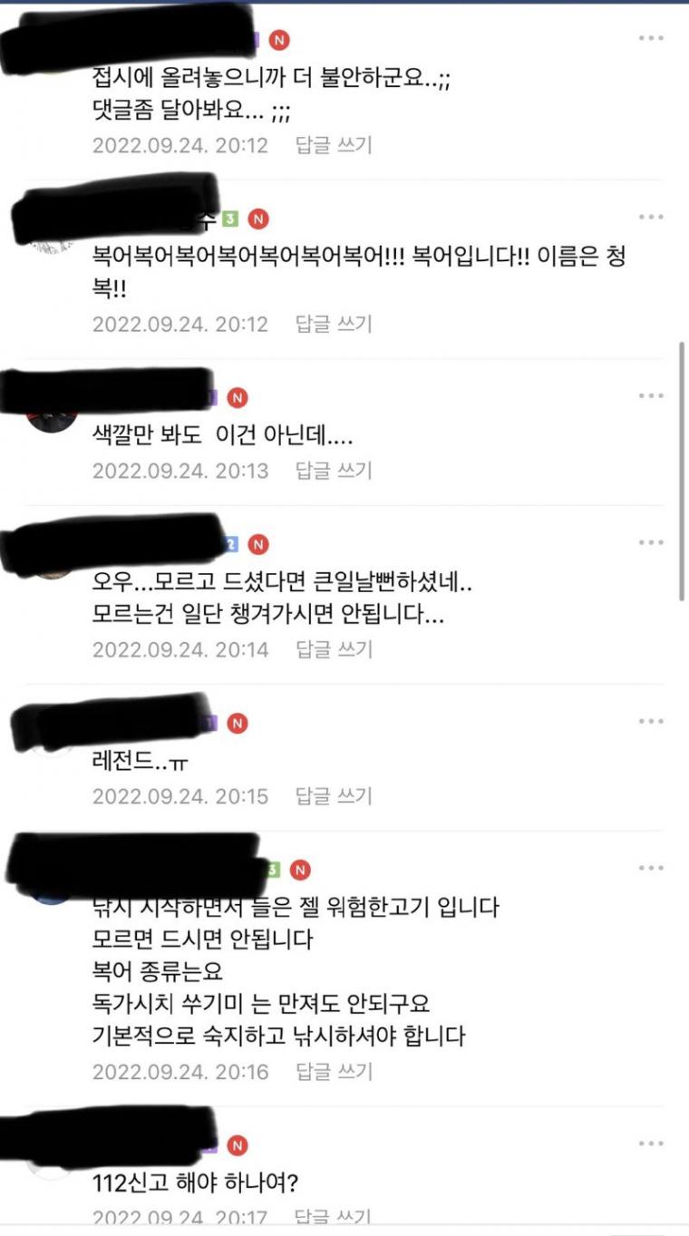 낚시초보자가 잡아온 고기때문에 난리났었던 어느 낚시카페