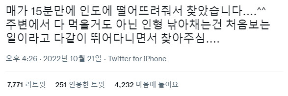 바닷가에서 인형 사진 찍지마세요