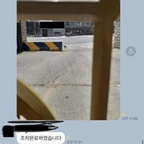 대대장 관사 앞 들개를 쫓아냄