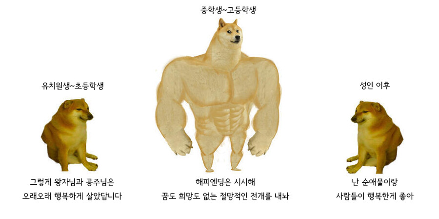 나이별 헤피엔딩 반응