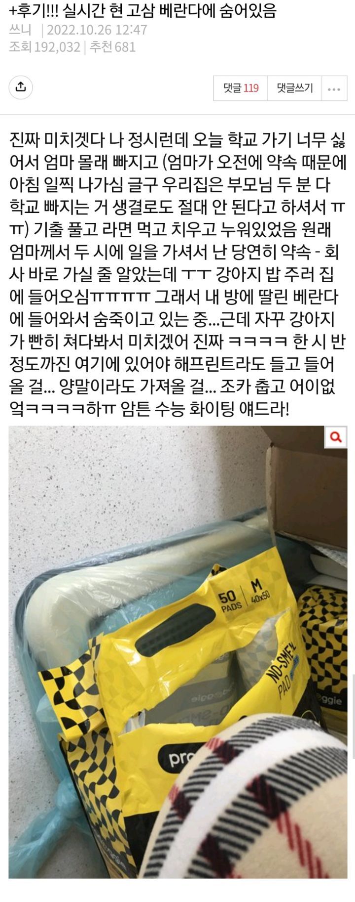 고삼 베란다에 숨어있음