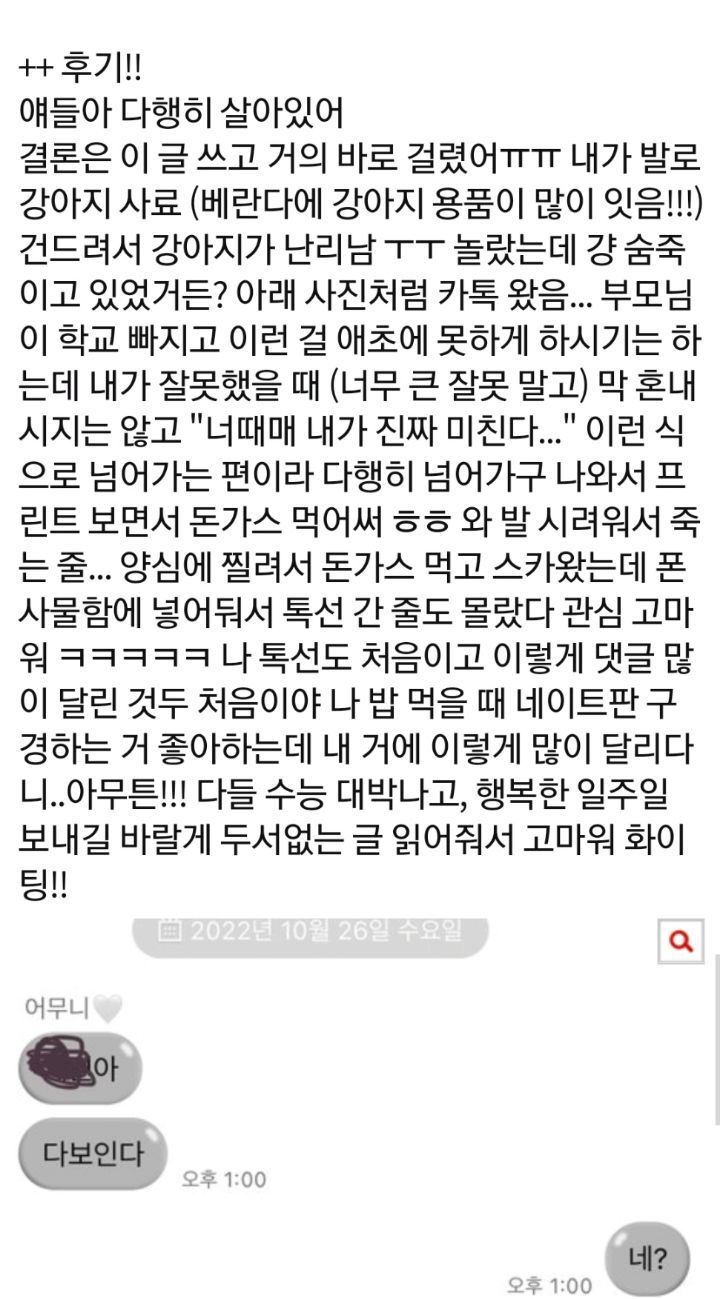 고삼 베란다에 숨어있음
