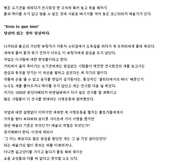 유기견을 전시회장에 묶고 굶겨 죽인 예술가