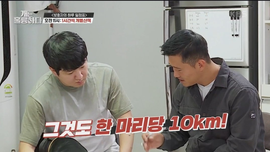 대형견 네 마리를 키우는 견주에게 강형욱이 주는 천벌