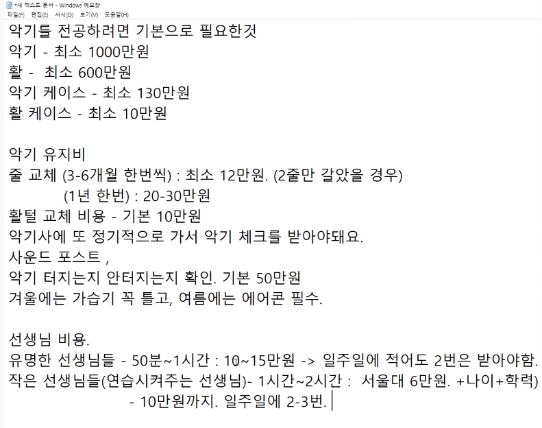 서울대 음대 졸업자가 말하는 악기 전공의 현실