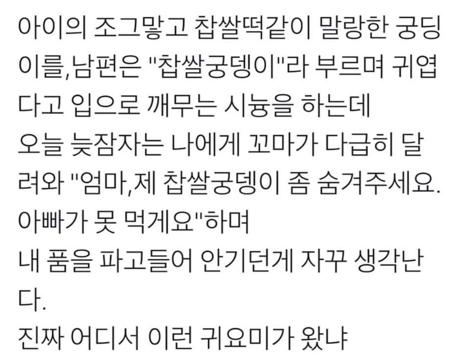 엄마 품으로 도망친 애기.jpg