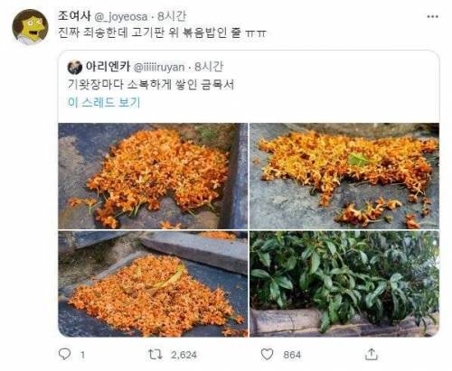 이거 고깃집 철판 볶음밥 아님.jpg