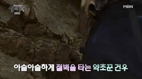 아빠가 죽고 이혼한 엄마가 돌아왔다.jpg
