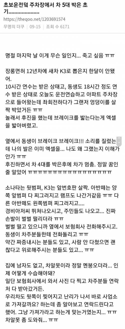 주차장에서 차 5대 꼴아박은 더쿠녀
