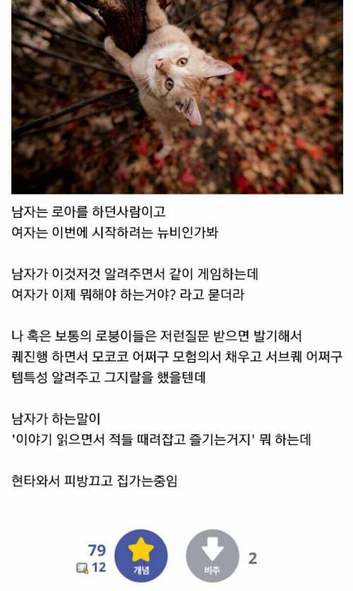 PC방 옆자리 커플대화에 현타온 로아유저