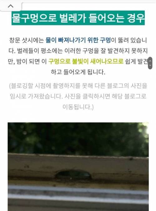 방충망 벌레 들어오는 이유