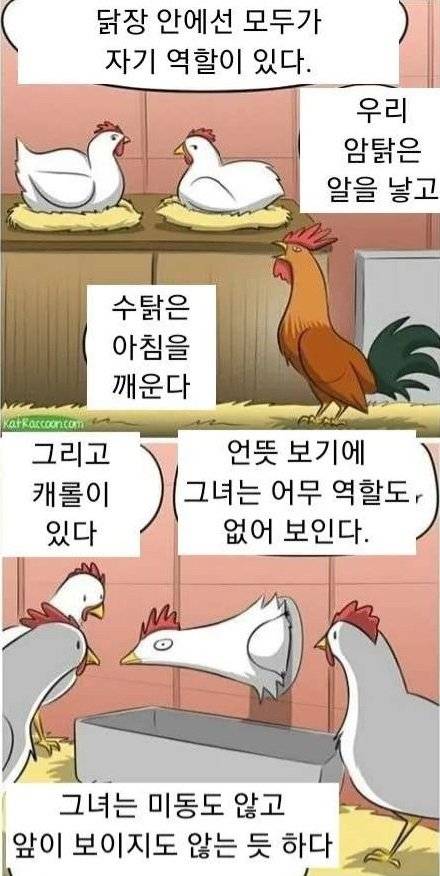 닭들이 신비감을 느끼는 만화