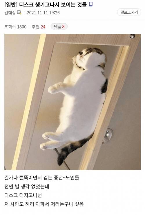 허리디스크 파열되고 나서야 보이는 것들...JPG