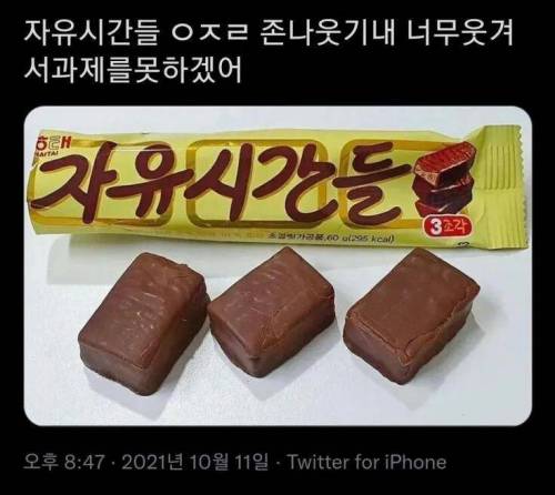 자유시간 근황