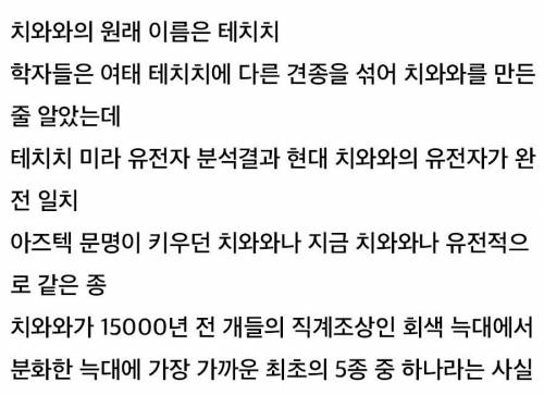 근본있는 성깔머리.jpg