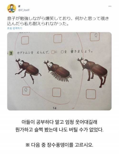 아들이 공부하다 말고 빵터진 이유