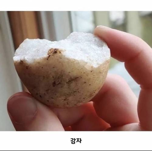 한 입 베어문 치킨