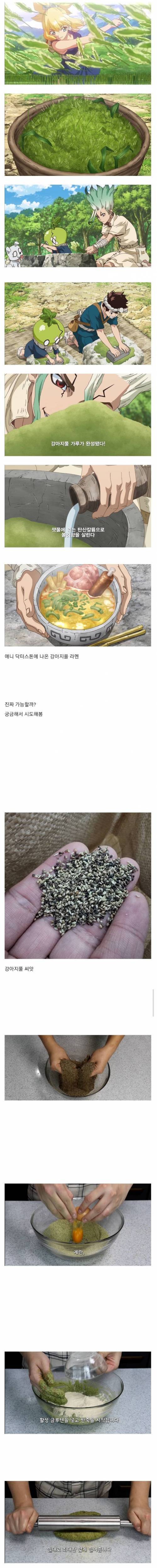 강아지풀로 라면 만들어먹기
